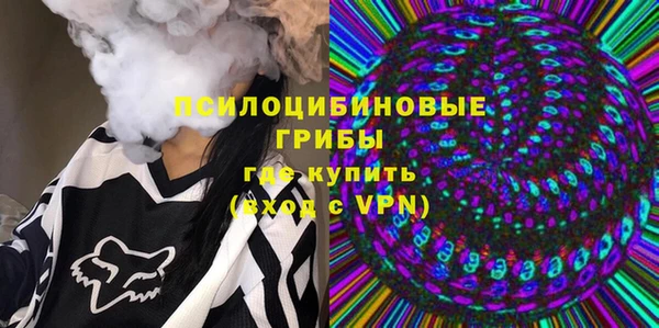 прущие грибы Пестово