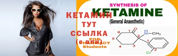 прущие грибы Пестово