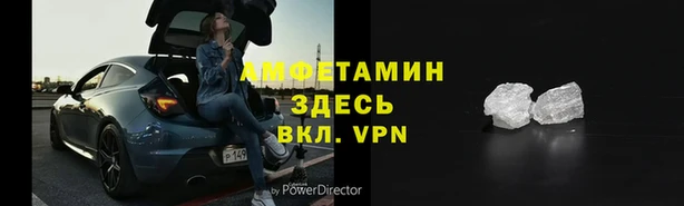 прущие грибы Пестово